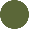 Колір Olive Green