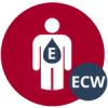 Позаклітинна вода (Extracellular Water, ECW)