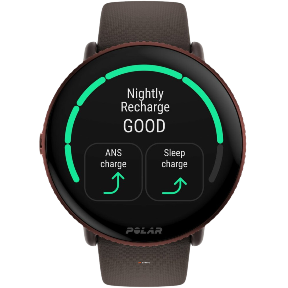Polar Ignite 3 фітнес-годинник з крокоміром і вимірюванням пульсу Brown Copper 900106239
