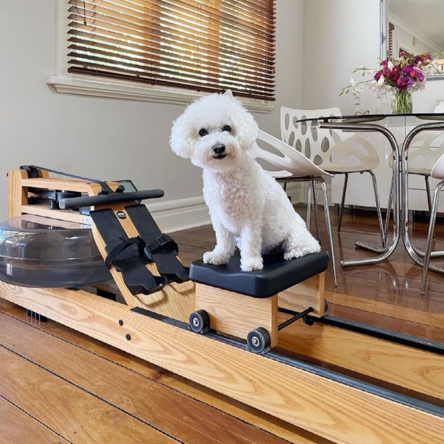 WaterRower Original Oak S4 спортивний тренажер гребний водний, гребна тяга для кардіо, дерев'яний