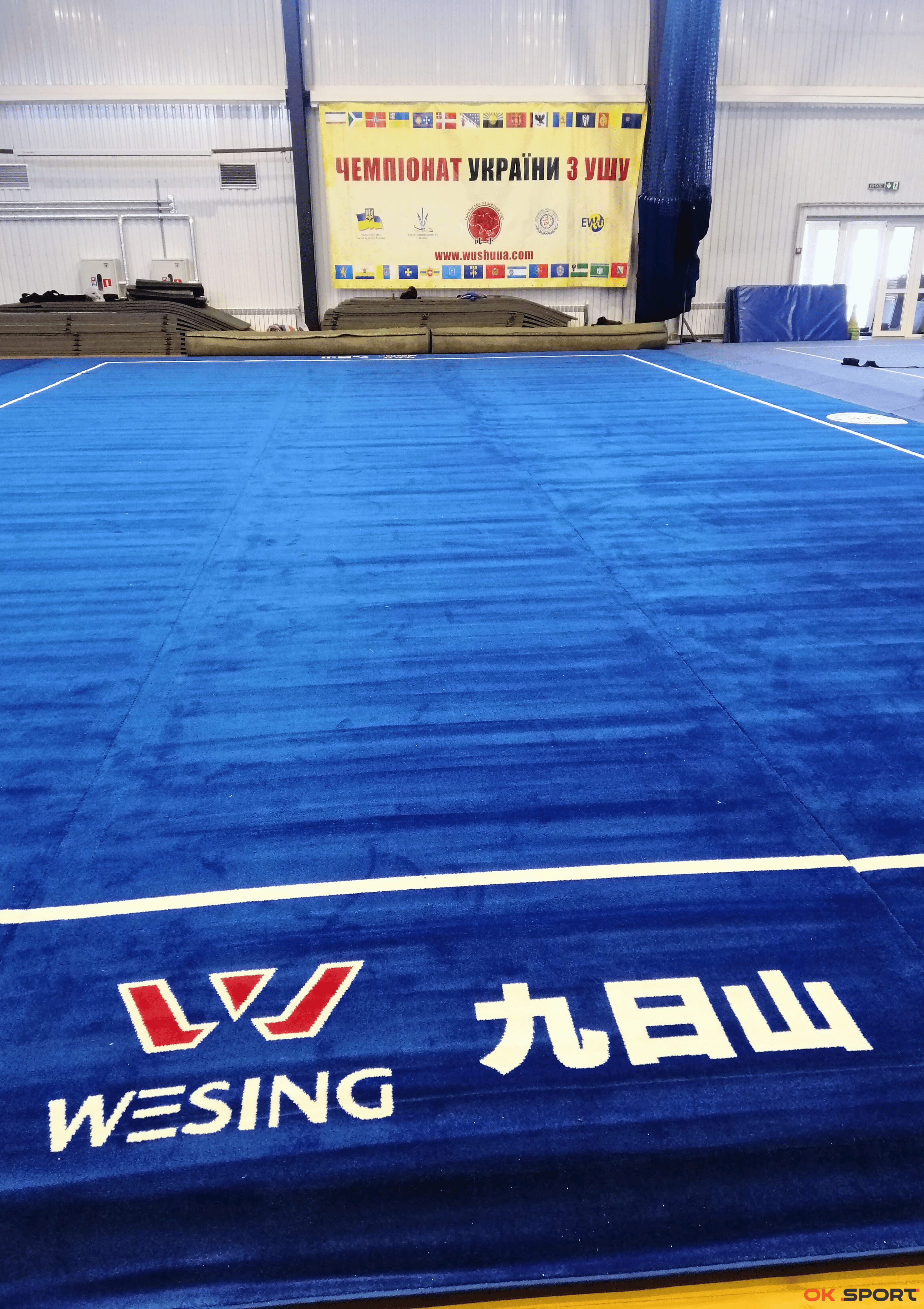 Постачальник спортивних килимів Wesing для Федерації ушу України